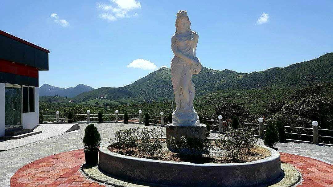 D'Heavenly Mist Resorts Erattupetta Exterior photo
